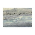 thumbnail image 1 of Trademark Fine Art 'Silver Horizon Gray' Canvas Art by Albena Hristova, 1 of 3