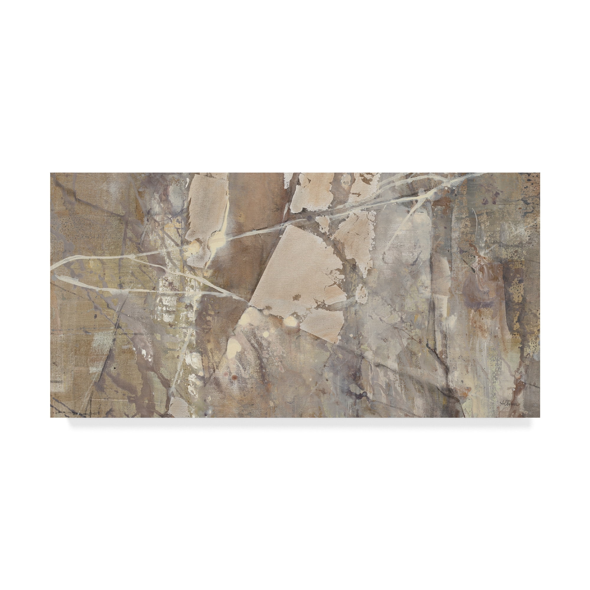 Trademark Fine Art 'Silver II Crop' Canvas Art by Albena Hristova