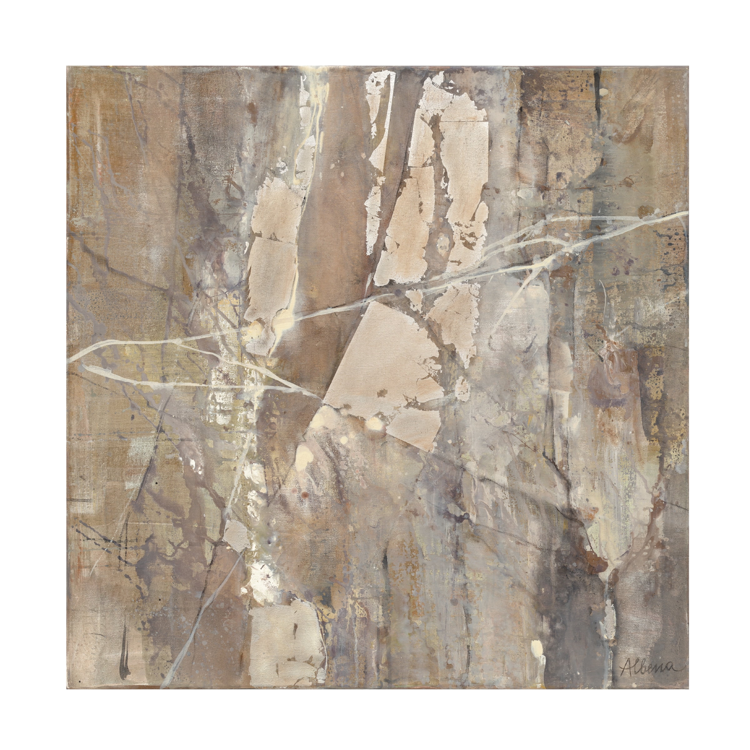 Trademark Fine Art 'Silver Ii' Canvas Art by Albena Hristova