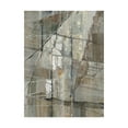 thumbnail image 1 of Trademark Fine Art 'Silver Iii Flipped' Canvas Art by Albena Hristova, 1 of 3