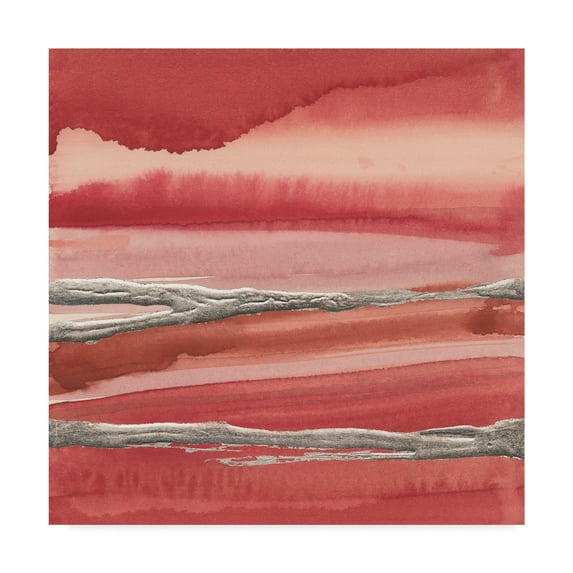 Trademark Fine Art 'Silver Marsh' Canvas Art by Chris Paschke