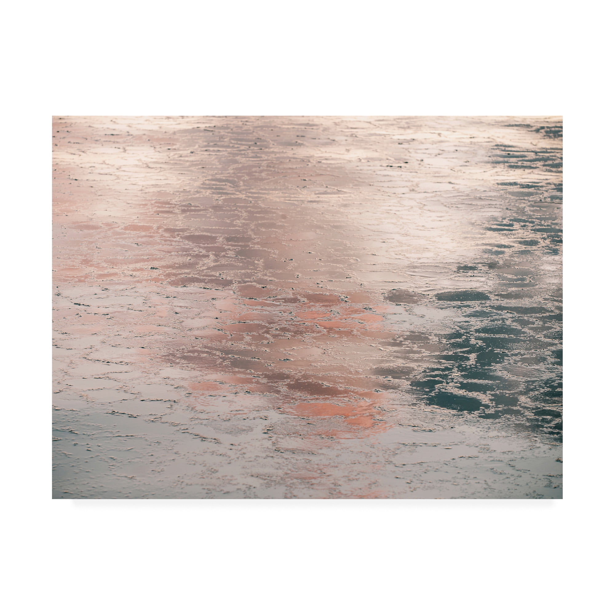 Trademark Fine Art 'Silver Pink Light' Canvas Art by PhotoINC Studio