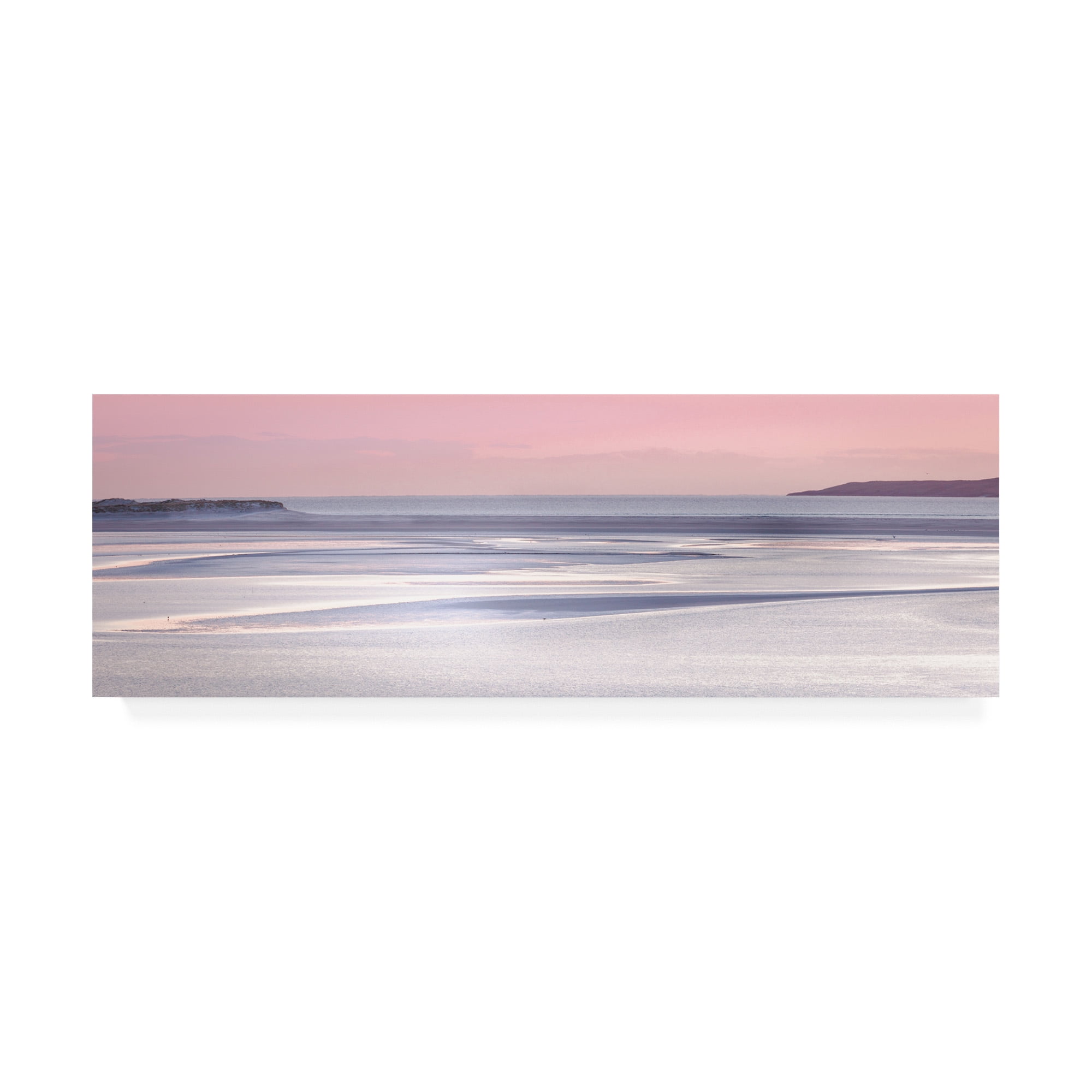 Trademark Fine Art 'Silver Sands' Canvas Art by Lynne Dougla