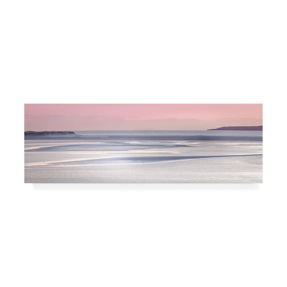 Trademark Fine Art 'Silver Sands' Canvas Art by Lynne Dougla
