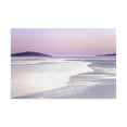 thumbnail image 1 of Trademark Fine Art 'Silver Silence' Canvas Art by Lynne Dougla, 1 of 1