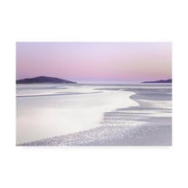 Trademark Fine Art 'Silver Silence' Canvas Art by Lynne Dougla