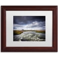 thumbnail image 1 of Trademark Fine Art 'Silver Sky' Canvas Art by Philippe Sainte-Laudy, White Matte, Wood Frame, 1 of 1