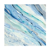 Trademark Fine Art 'Silver Spring I' Canvas Art by Albena Hristova