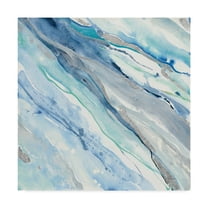 Trademark Fine Art 'Silver Spring II' Canvas Art by Albena Hristova