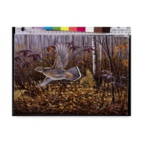 Trademark Fine Art 'Silver Streak Ruffed Grouse' Canvas Art by Wilhelm Goebel