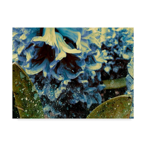 Trademark Fine Art 'Silver bell II' Canvas Art by Danielle Harrington