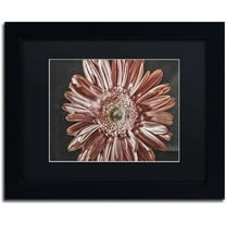 Trademark Fine Art "Silvery Pink" Canvas Art by Lois Bryan, Black Matte, Black Frame