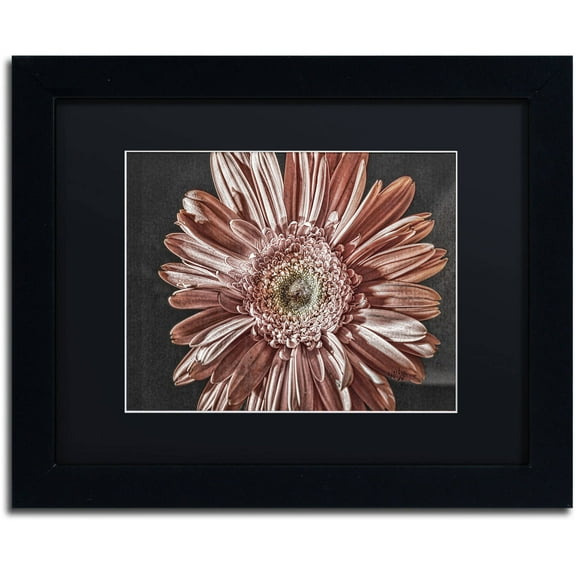 Trademark Fine Art "Silvery Pink" Canvas Art by Lois Bryan, Black Matte, Black Frame