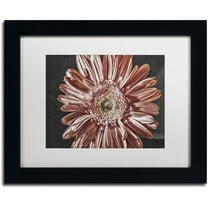 Trademark Fine Art "Silvery Pink" Canvas Art by Lois Bryan, White Matte, Black Frame