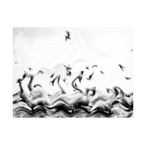 Trademark Fine Art Silvia Dinca Swans Waves Canvas Wall Art