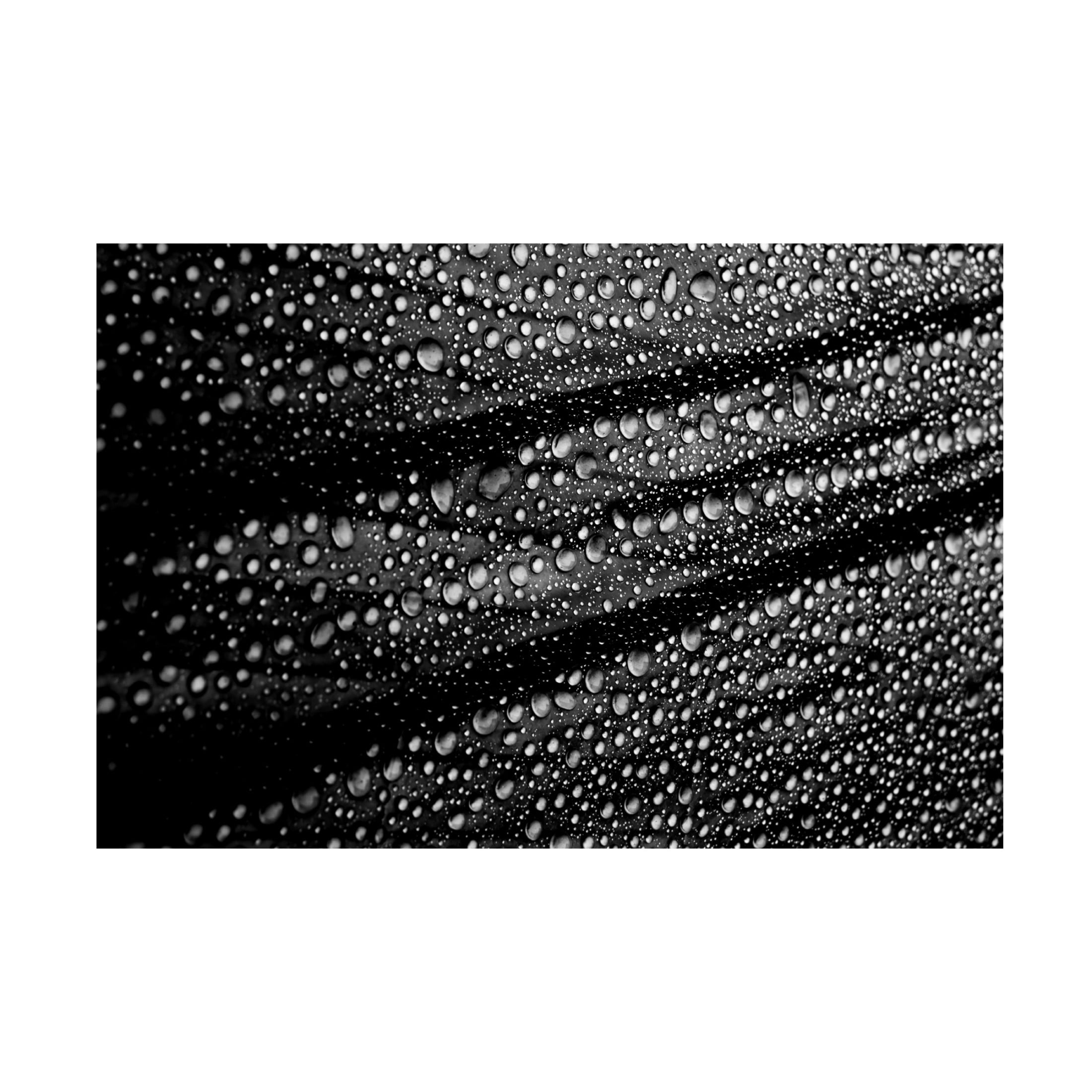 Trademark Fine Art Simon JG Ciappara Cultured Rain Pearls Canvas Wall Art