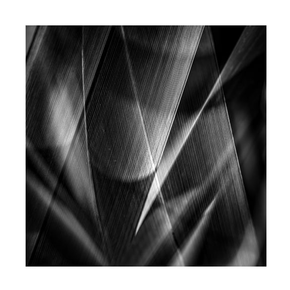 Trademark Fine Art Simon JG Ciappara Shadows a edges ab Canvas Wall Art