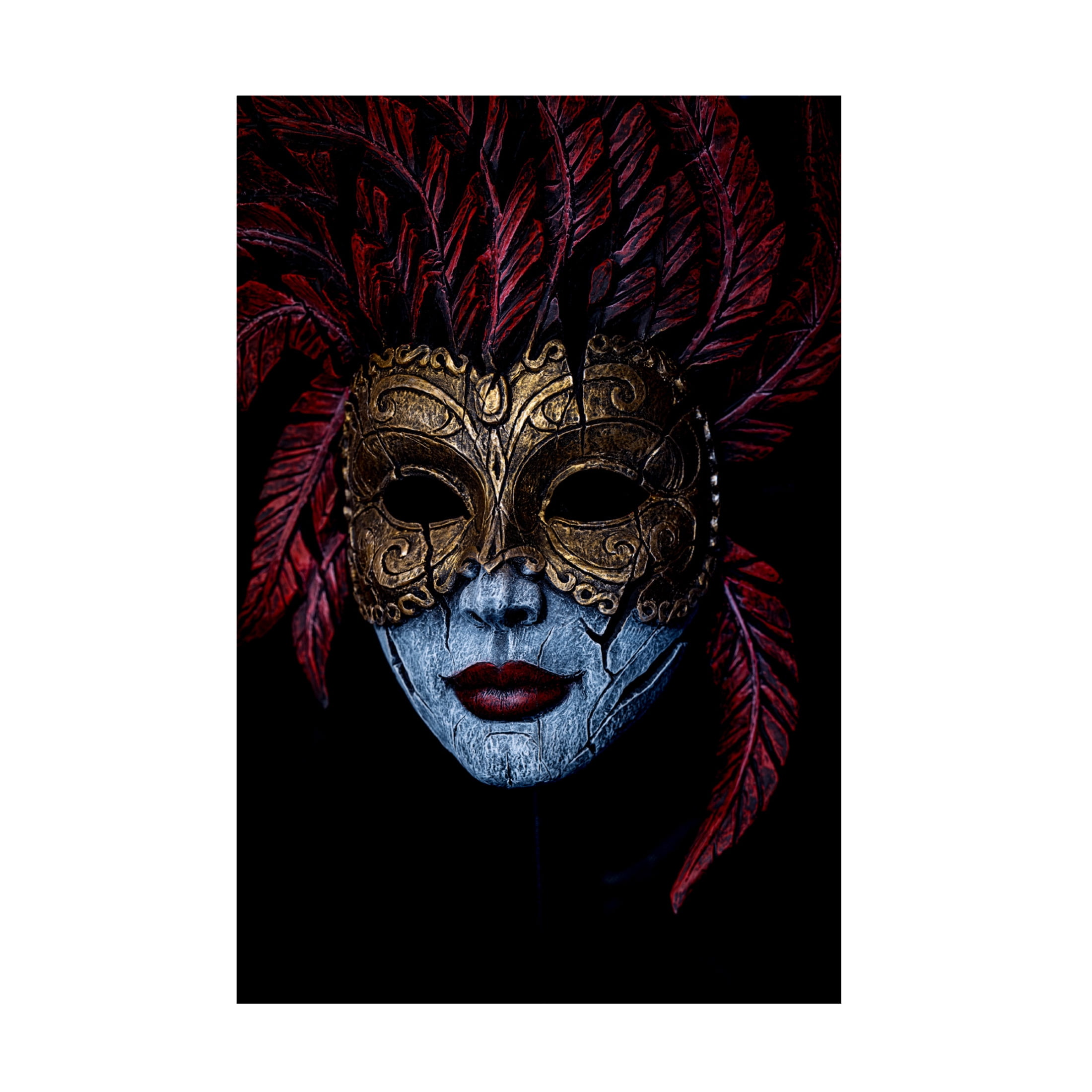 Trademark Fine Art Simon JG Ciappara Where Does The Mask Begin And End Canvas Wall Art