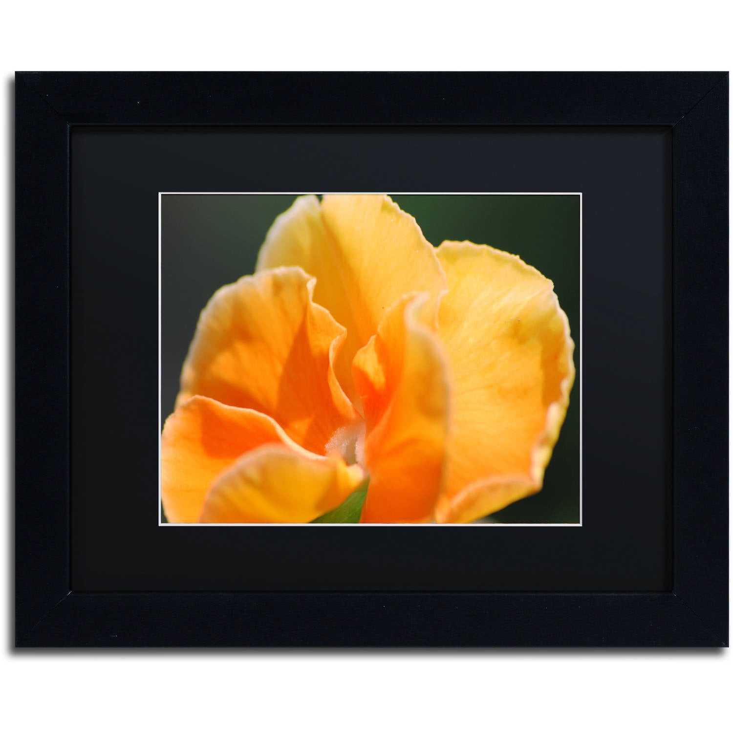 Trademark Fine Art "Simple Compassion" Canvas Art by Monica Mize, Black Matte, Black Frame