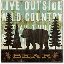 Trademark Fine Art "Simple Living Bear" Canvas Art by Michael Mullan