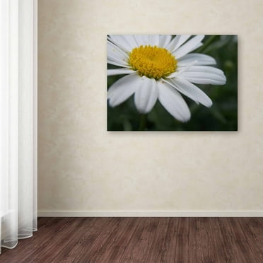 Trademark Fine Art "Simplistic" Canvas Art by Monica Fleet