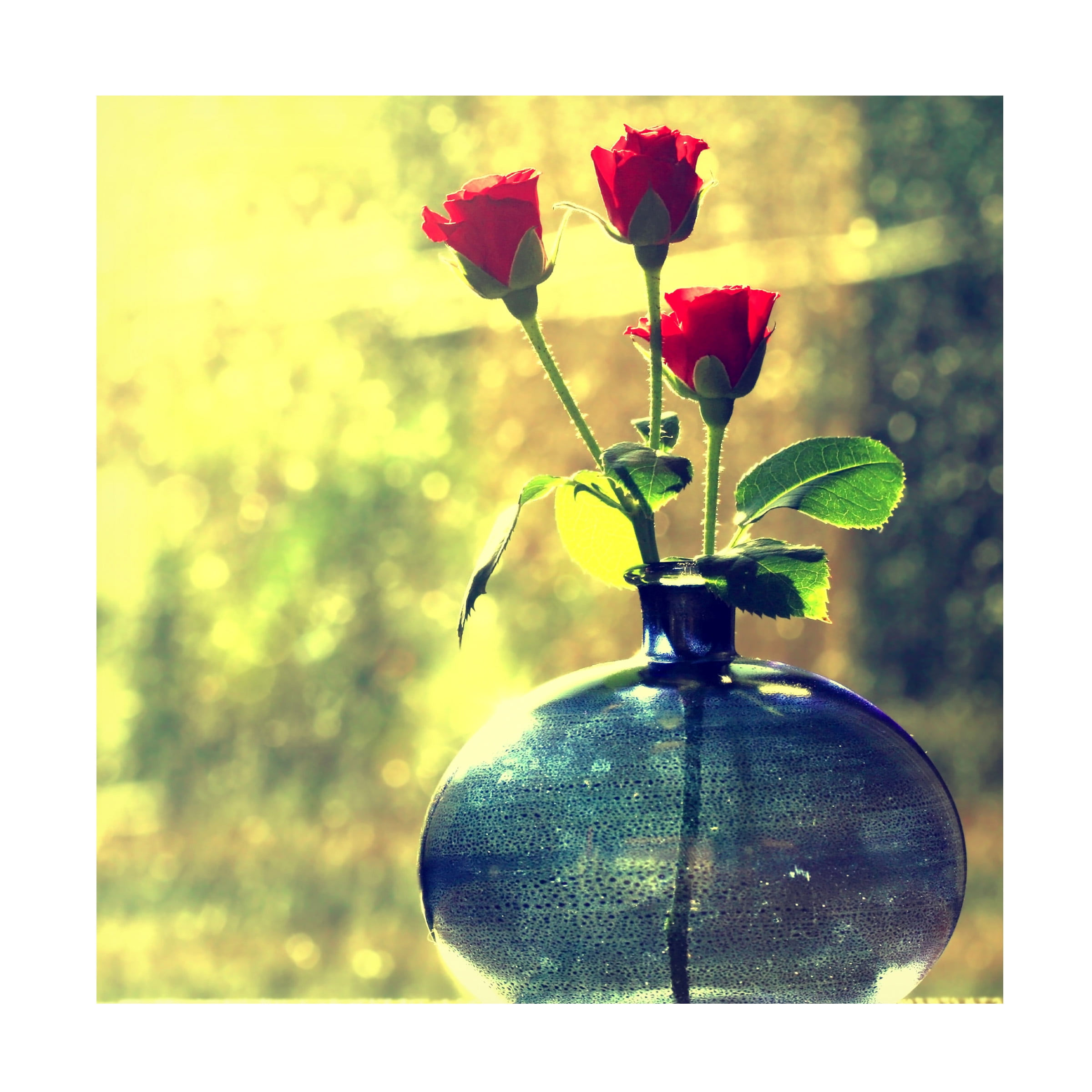 Trademark Fine Art "Since Forever" Canvas Art by Beata Czyzowska