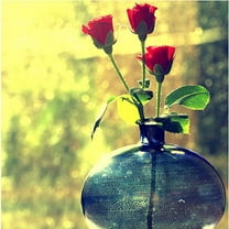 Trademark Fine Art "Since Forever" Canvas Art by Beata Czyzowska