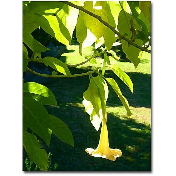 Trademark Fine Art "Singe Angel's Trumpet" Canvas Wall Art by Amy Vangsgard