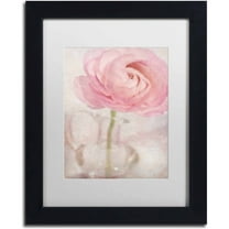 Trademark Fine Art 'Single Rose Pink Flower' Canvas Art by Cora Niele, White Matte, Black Frame
