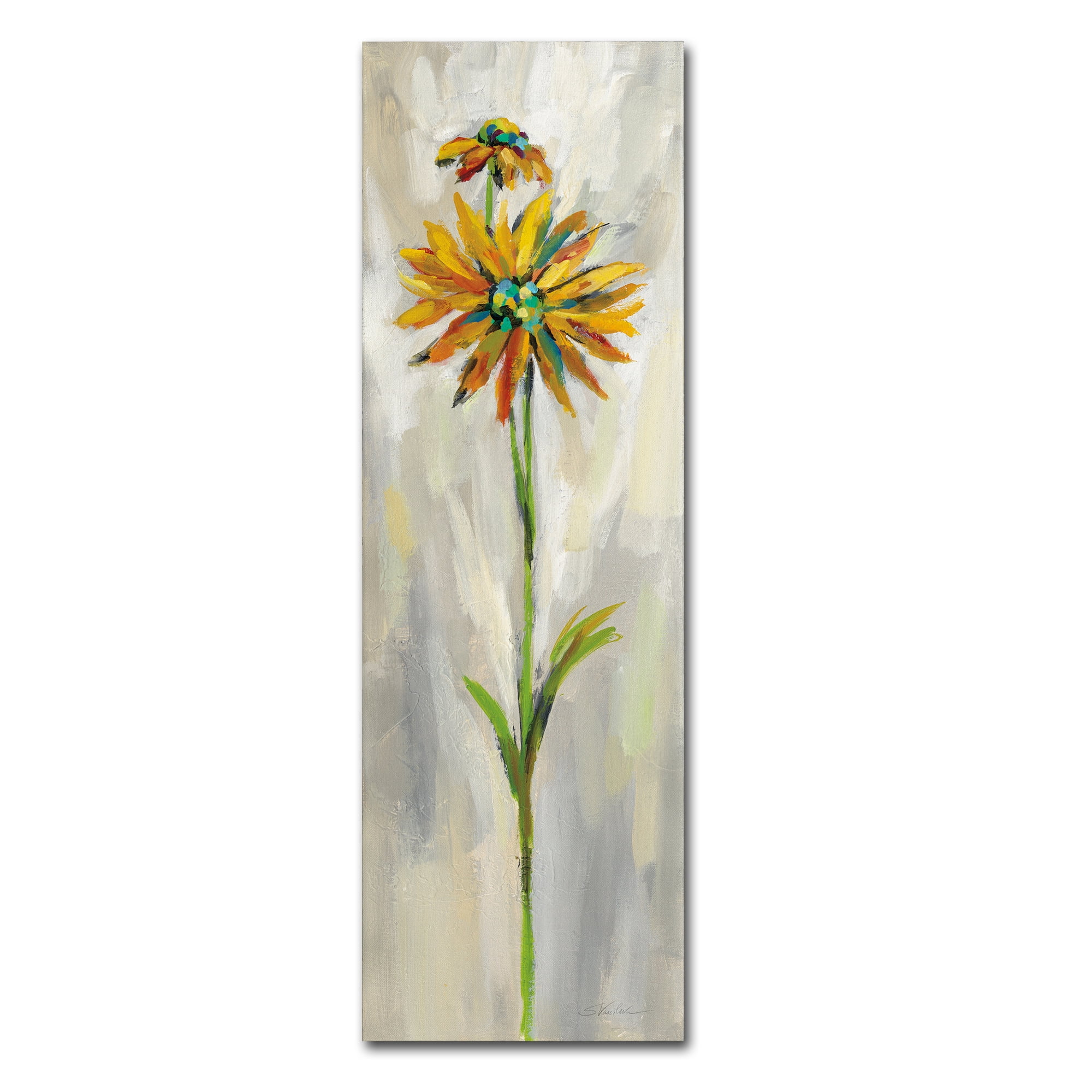 Trademark Fine Art 'Single Stem Flower III' Canvas Art by Silvia Vassileva