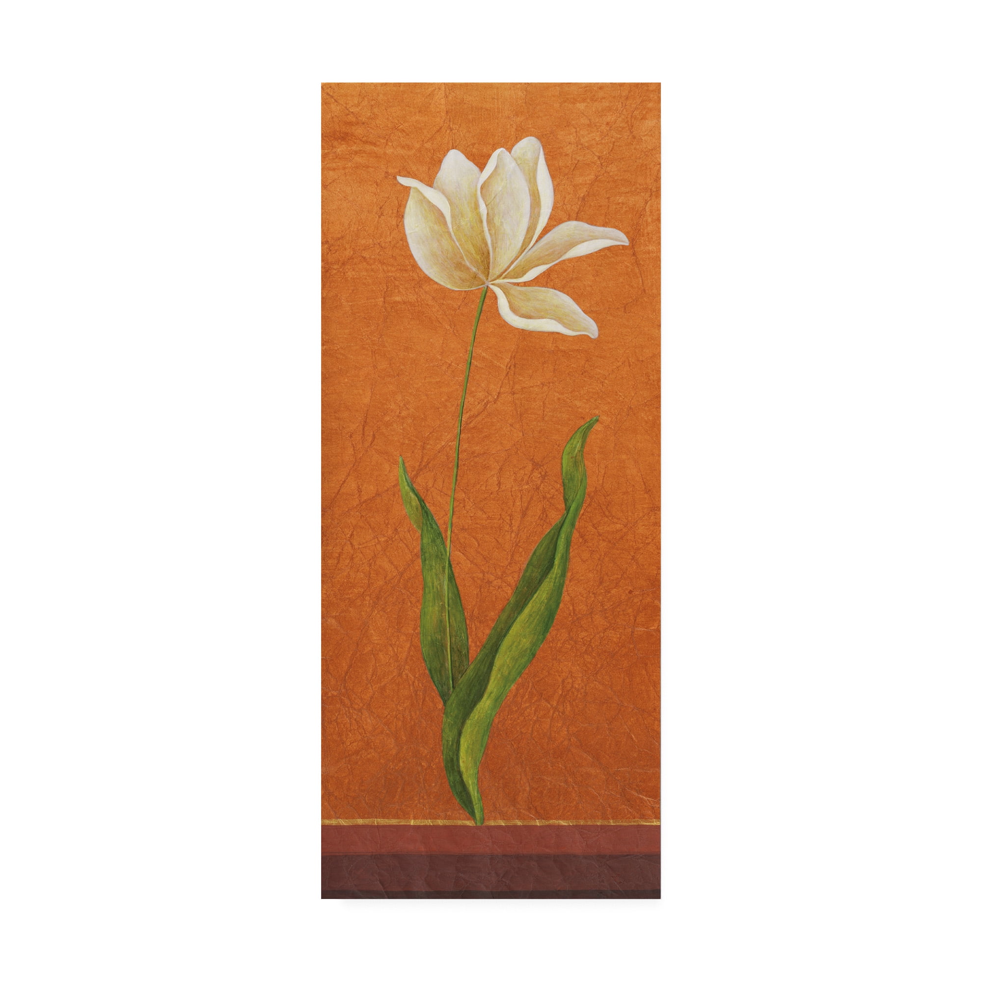 Trademark Fine Art 'Single White Flower On Orange' Canvas Art by Pablo Esteban