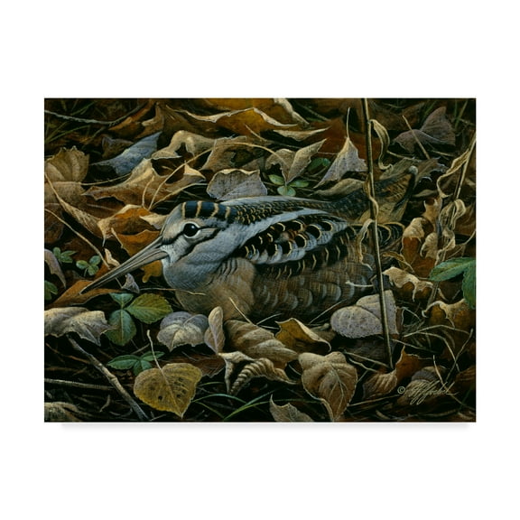 Trademark Fine Art 'Sitting Tight' Canvas Art by Wilhelm Goebel