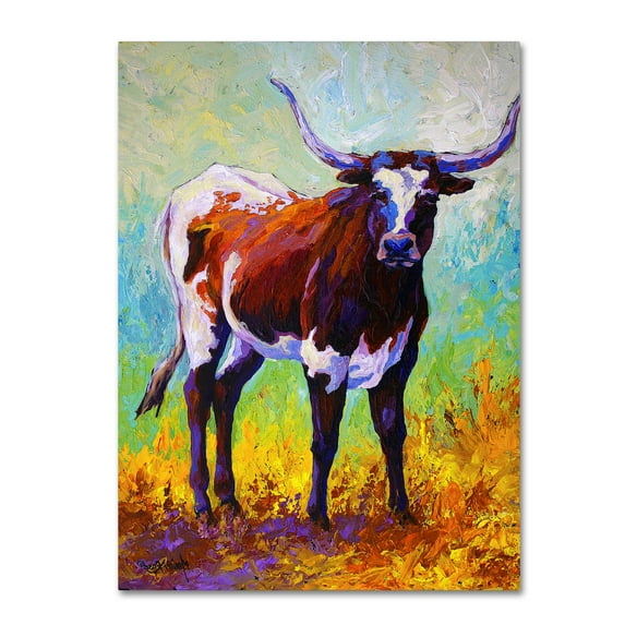 Trademark Fine Art 'Sizing Up Longhorn' Canvas Art by Marion Rose