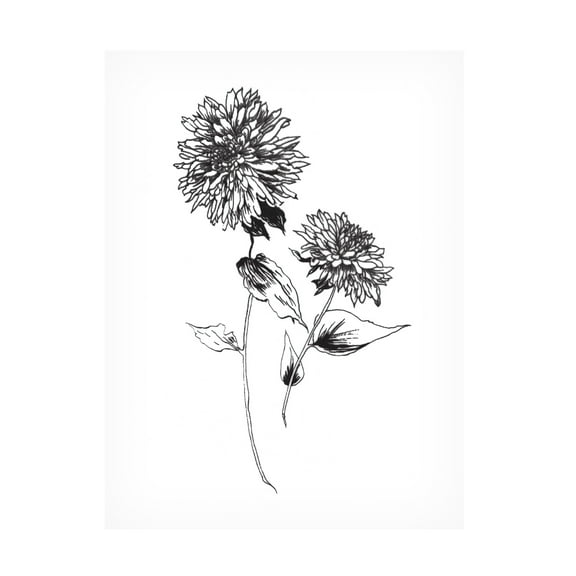 Trademark Fine Art 'Sketchbook Flowers on White IV' Canvas Art by Wild Apple Portfolio