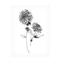 Trademark Fine Art 'Sketchbook Flowers on White IV' Canvas Art by Wild Apple Portfolio