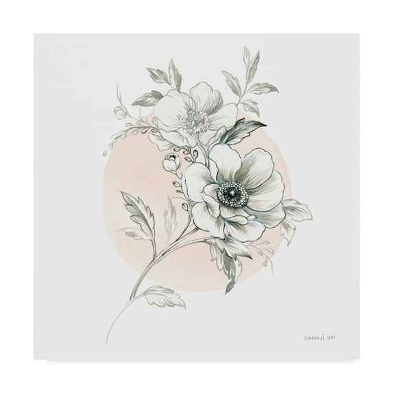 Trademark Fine Art 'Sketchbook Garden I' Canvas Art by Danhui Nai