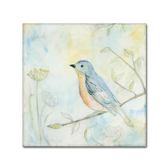 Trademark Fine Art 'Sketched Songbird II' Canvas Art by Sue Schlabach