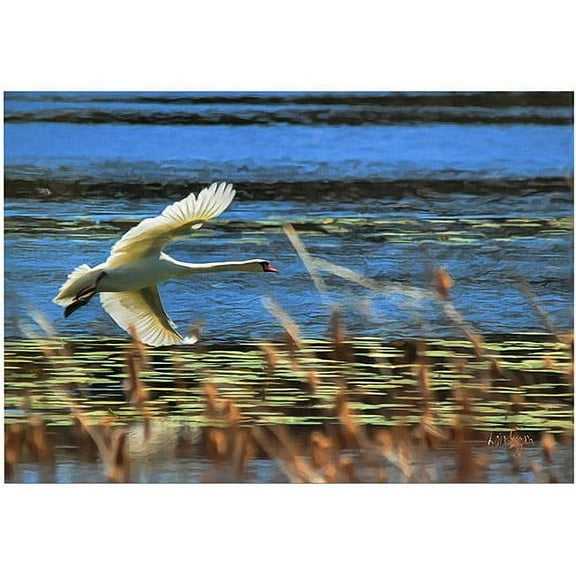 Trademark Fine Art "Skimming Swan" Giclee Canvas Art