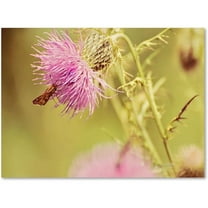 Trademark Fine Art "Skipper On Pink Thistle" Canvas Art by Lois Bryan