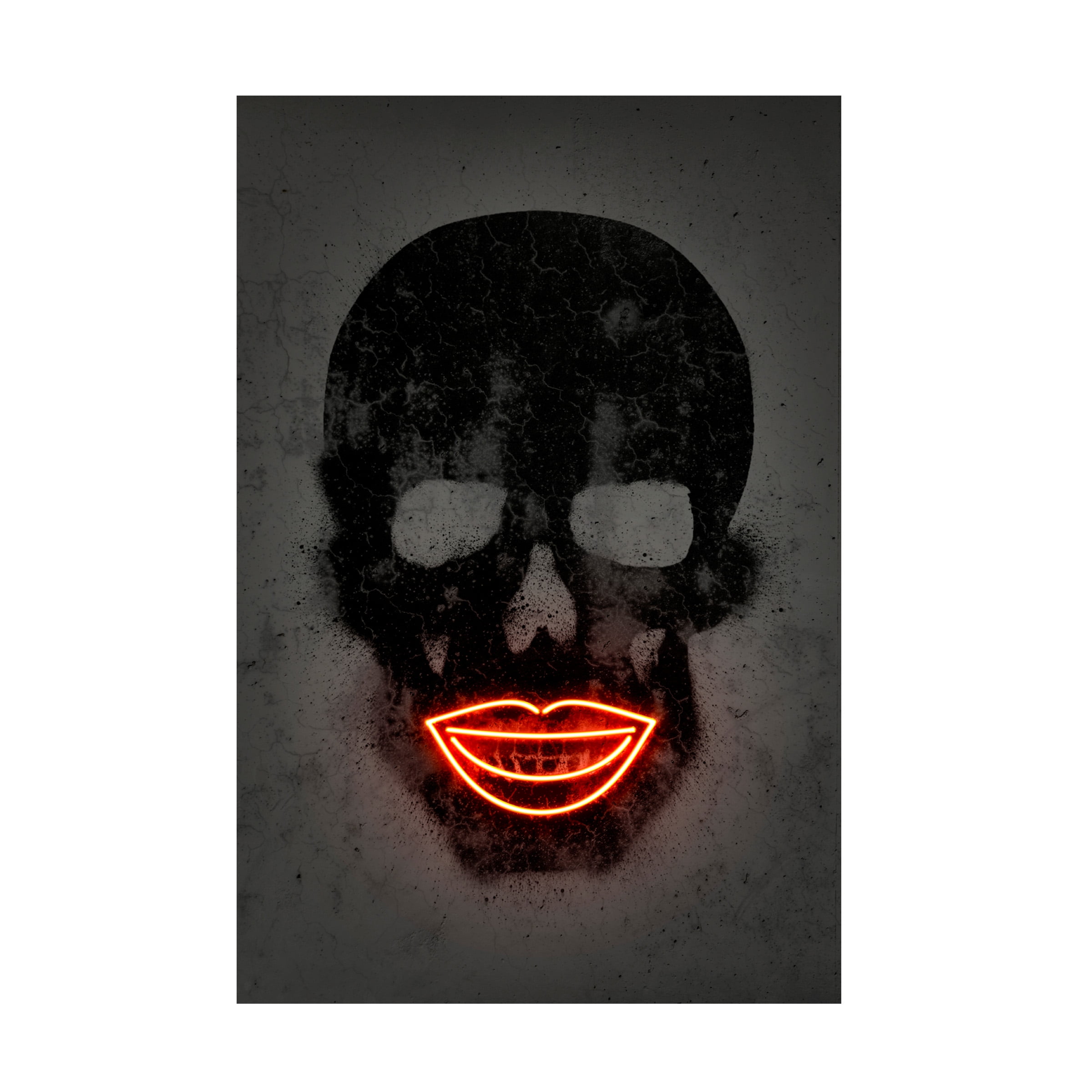 Trademark Fine Art 'Skull' Canvas Art by Octavian Mielu