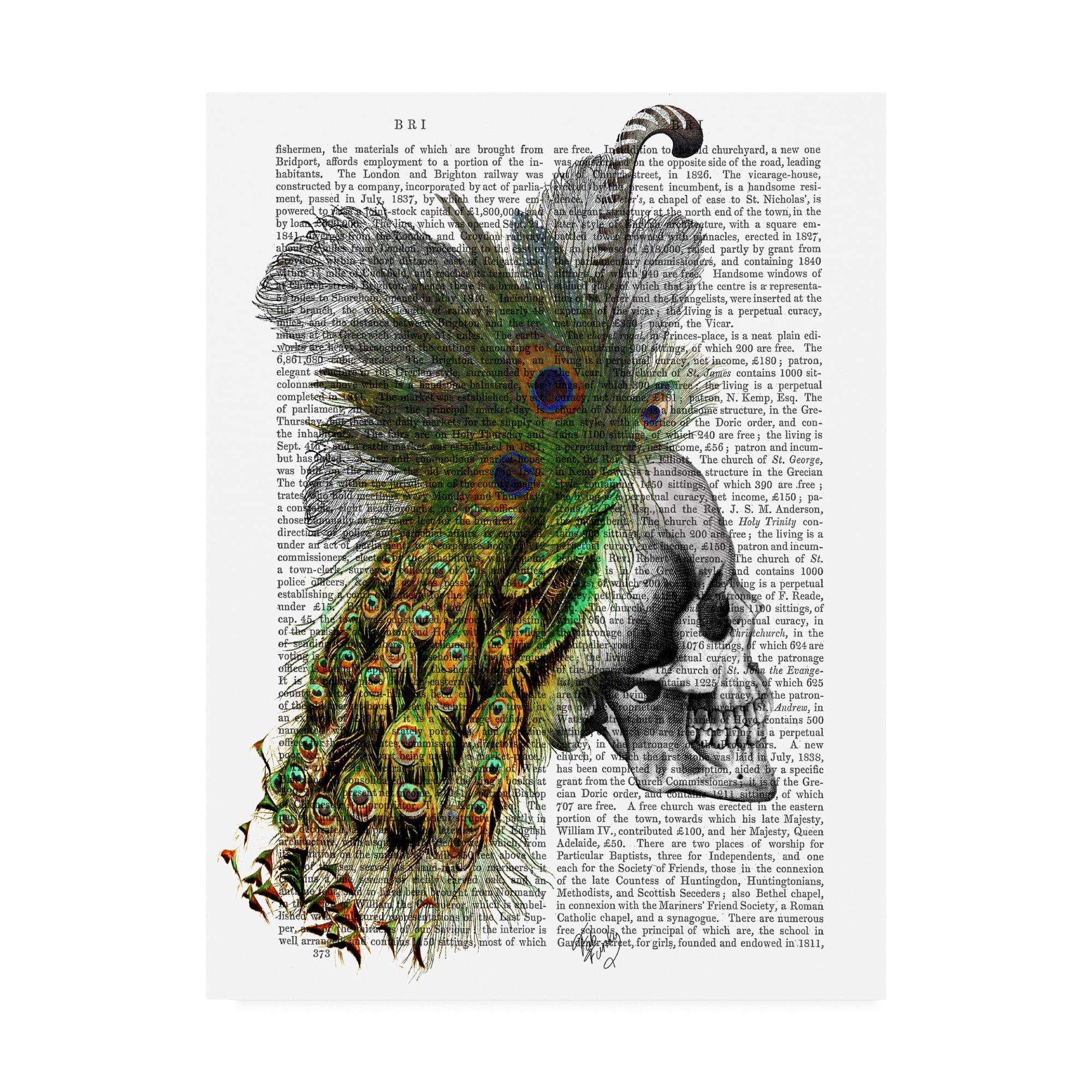 Trademark Fine Art 'Skull With Feather Headdress' Canvas Art by Fab Funky