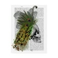 thumbnail image 1 of Trademark Fine Art 'Skull With Feather Headdress' Canvas Art by Fab Funky, 1 of 3