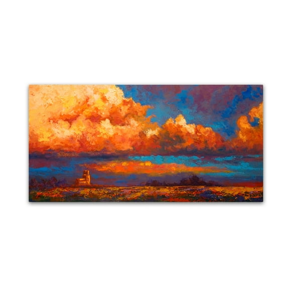 Trademark Fine Art 'Sky' Canvas Art by Marion Rose