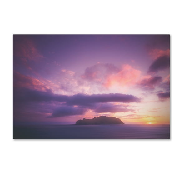 Trademark Fine Art 'Sky Dance' Canvas Art by Philippe Sainte-Laudy