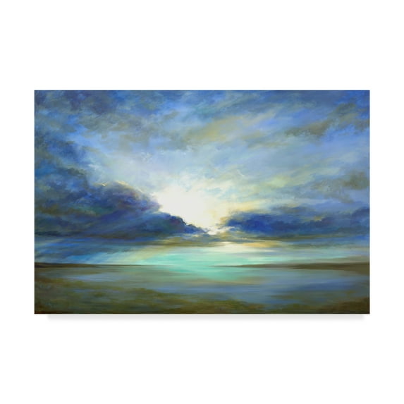 Trademark Fine Art 'Sky Light' Canvas Art by Sheila Finch