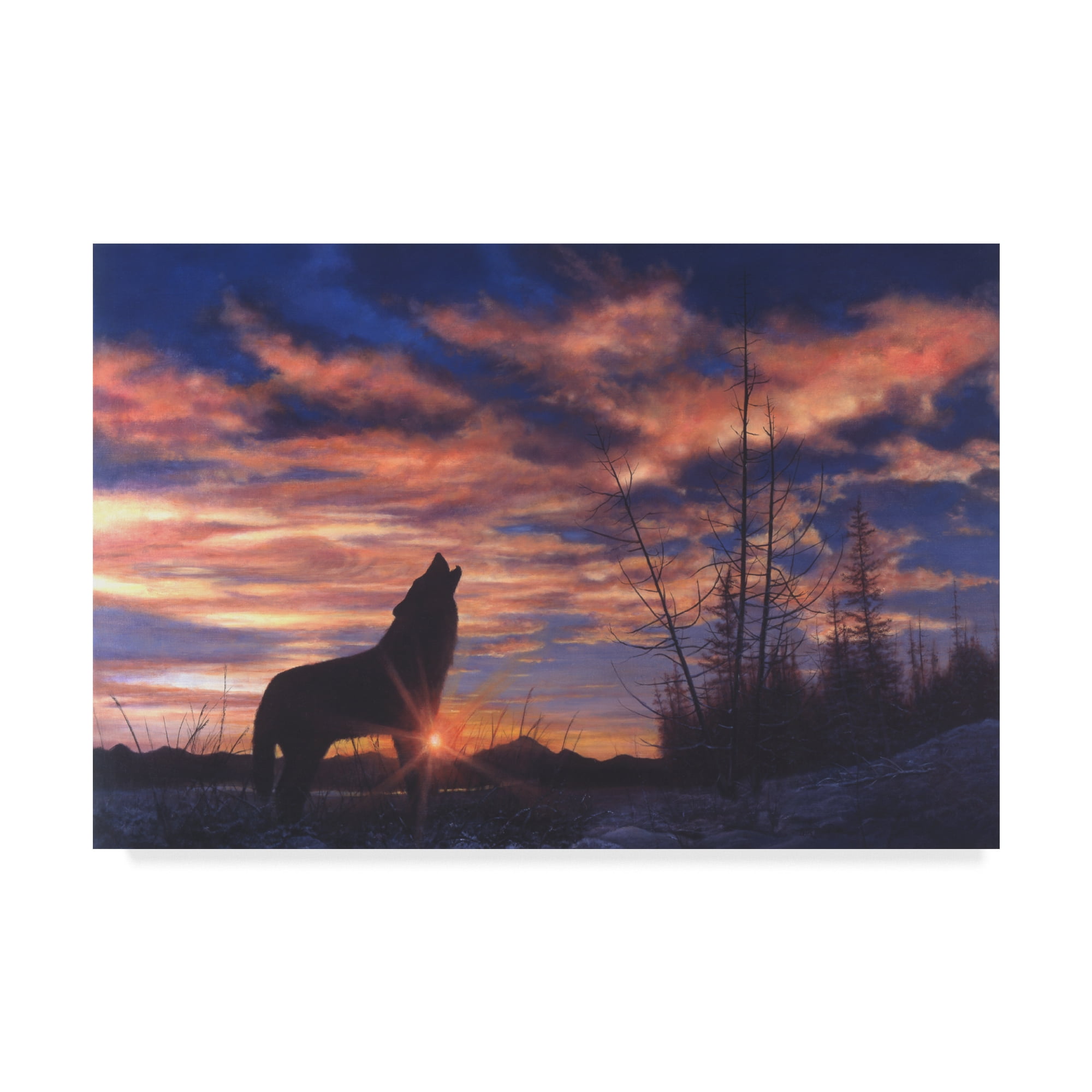 Trademark Fine Art 'Sky Wolf' Canvas Art by Bill Makinson