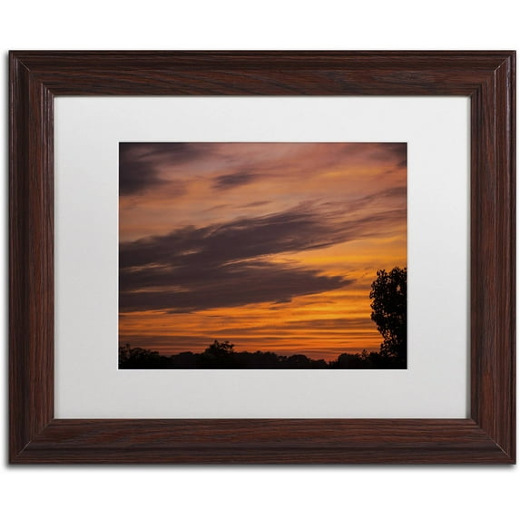 Trademark Fine Art "Sky on Fire" Canvas Art by Kurt Shaffer, White Matte, Wood Frame