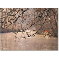 Trademark Fine Art "Skylight" Canvas Art by Philippe Sainte-Laudy