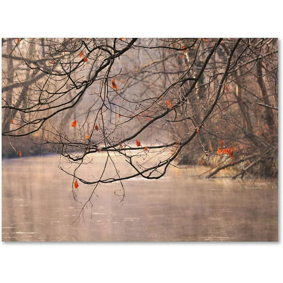 Trademark Fine Art "Skylight" Canvas Art by Philippe Sainte-Laudy