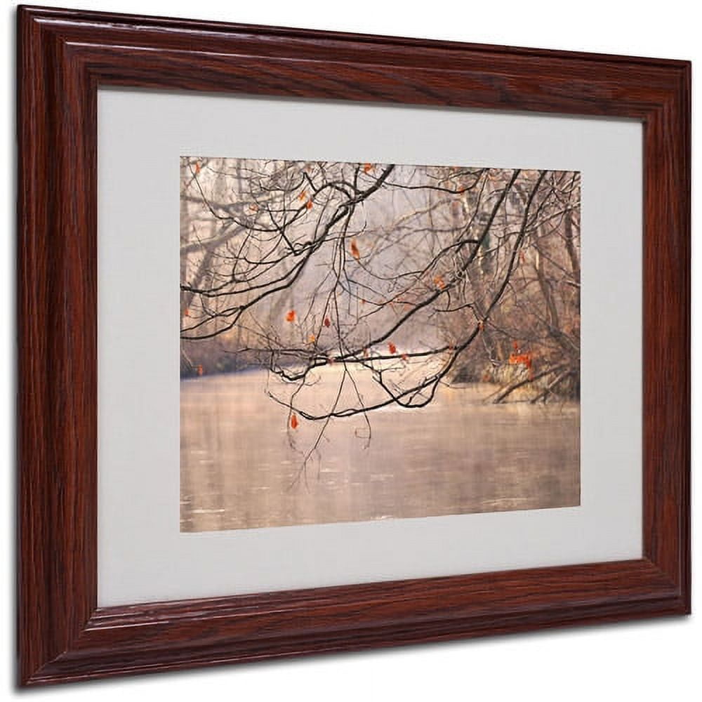 Trademark Fine Art "Skylight" Matted Framed Art by Philippe Sainte-Laudy